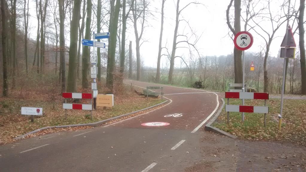 Fonteinallee bij kasteel Doorwerth, hoge beuken, gevallen blaadjes