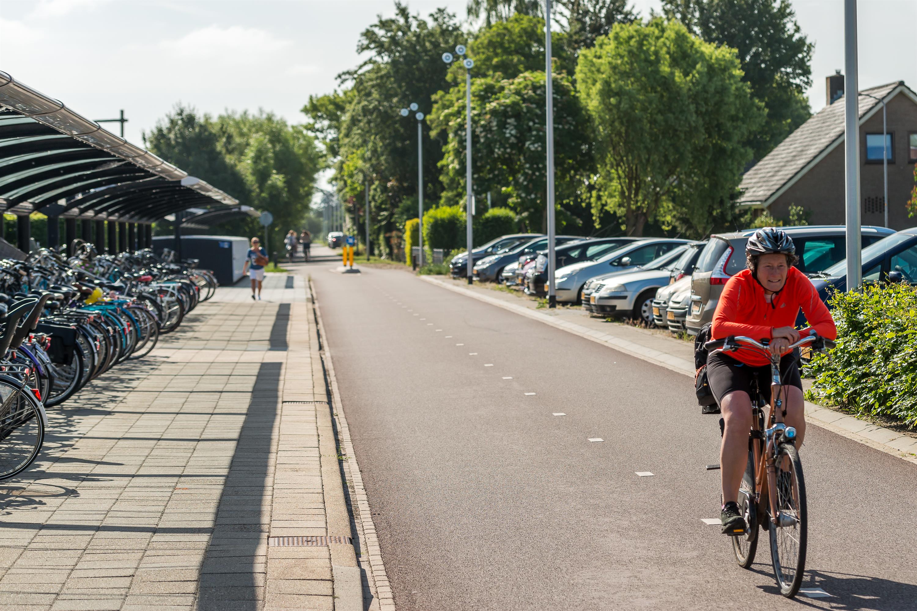 Snelfietsroute De Liemers