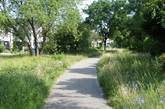 landschap, fietspad, groen
