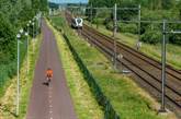 Groene bomen fietspad en spoor