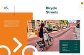 rode fietsstraat, vrouw op fiets met boodschappentassen
